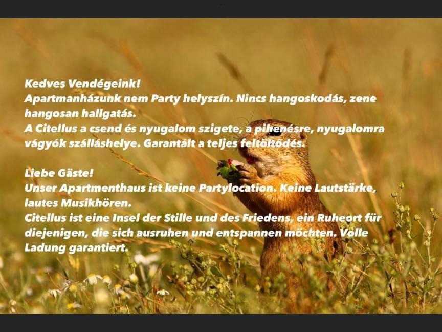 Citellus Apartman Dunasziget Exteriér fotografie